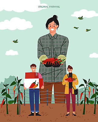 전신 여자 남자 일러스트 자연 고추 조류 들기 사람 상반신 성인 세명 상자 수확 구매 농부 고객 유기농 고추밭 성인만 청년농부 국내일러스트 AI파일 동물 직업 웰빙 밭 농업 채소 모션 쇼핑 생태계 파일형식 벡터