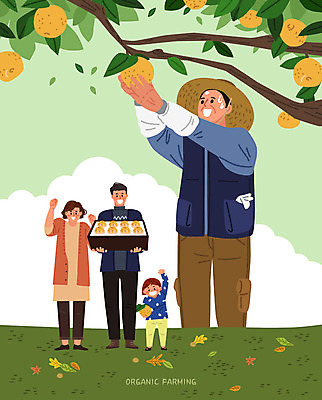 전신 여자 남자 어린이 중년 과일 일러스트 가족 응원 들기 사람 여러명 상반신 성인 상자 수확 배 구매 농부 과수원 고객 유기농 땀 선물세트 과일따기 배나무 국내일러스트 AI파일 나무 직업 웰빙 다수 농업 관계 모션 선물 쇼핑 파일형식 벡터