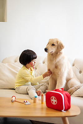포토 JPG 전신 한마리 남자 반려견 어린이 가방 청진기 놀이 함께함 실내 한명 앉기 옆모습 반려동물 소파 놀이용품 진료 한국인 골든리트리버 강아지 즐거움 반려 병원놀이 소년한명만 국내포토 동물 1 잡화 감정 뷰포인트 컨셉 의자 의학 의료기기 모션 사람 동양인 내부 개 리트리버 오브젝트 남자한명만 소년만 파일형식