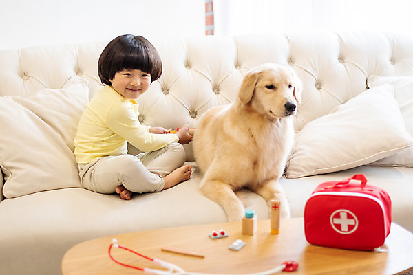 포토 JPG 전신 한마리 남자 반려견 어린이 가방 청진기 놀이 함께함 실내 한명 미소 앉기 옆모습 반려동물 소파 놀이용품 진료 한국인 골든리트리버 강아지 즐거움 반려 병원놀이 소년한명만 국내포토 동물 1 잡화 감정 뷰포인트 컨셉 의자 의학 의료기기 모션 표정 사람 동양인 내부 개 리트리버 오브젝트 남자한명만 소년만 파일형식