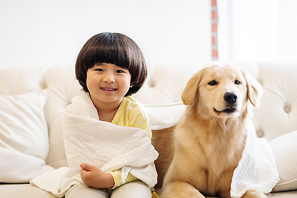 포토 JPG 한마리 남자 반려견 어린이 함께함 실내 한명 미소 앉기 상반신 앞모습 반려동물 소파 수건 한국인 골든리트리버 강아지 즐거움 반려 소년한명만 국내포토 동물 1 감정 뷰포인트 컨셉 의자 모션 표정 사람 동양인 내부 위생용품 개 리트리버 남자한명만 소년만 파일형식