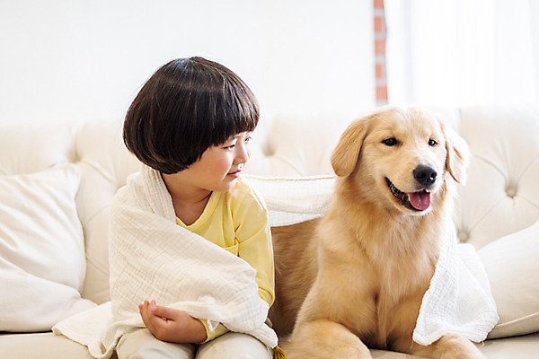 포토 JPG 한마리 응시 남자 반려견 어린이 함께함 실내 한명 미소 앉기 상반신 앞모습 반려동물 소파 수건 한국인 골든리트리버 강아지 즐거움 반려 소년한명만 국내포토 동물 1 시선 감정 뷰포인트 컨셉 의자 모션 표정 사람 동양인 내부 위생용품 개 리트리버 남자한명만 소년만 파일형식