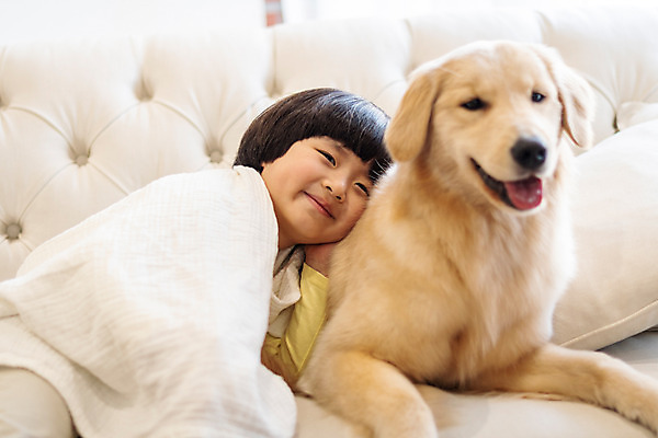 포토 JPG 한마리 남자 반려견 어린이 함께함 실내 한명 미소 앉기 상반신 앞모습 반려동물 소파 수건 기댐 한국인 골든리트리버 강아지 즐거움 반려 소년한명만 국내포토 동물 1 감정 뷰포인트 컨셉 의자 모션 표정 사람 동양인 내부 위생용품 개 리트리버 남자한명만 소년만 파일형식