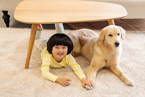 포토 JPG 전신 한마리 남자 반려견 어린이 엎드리기 발 탁자 함께함 실내 한명 앞모습 반려동물 하이앵글 손잡기 한국인 골든리트리버 강아지 즐거움 반려 소년한명만 국내포토 동물 1 감정 뷰포인트 가구 컨셉 모션 사람 동양인 내부 신체부위 개 리트리버 남자한명만 소년만 파일형식