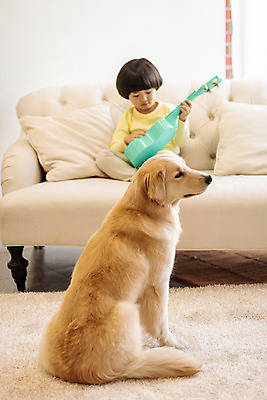 포토 JPG 전신 한마리 남자 반려견 어린이 연주 놀이 함께함 실내 한명 앉기 앞모습 반려동물 소파 한국인 골든리트리버 강아지 우쿨렐레 즐거움 반려 소년한명만 국내포토 동물 1 감정 음악 뷰포인트 컨셉 의자 모션 현악기 사람 동양인 내부 개 리트리버 남자한명만 소년만 파일형식