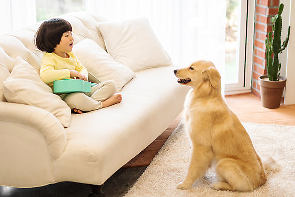 포토 JPG 전신 한마리 남자 반려견 어린이 연주 놀이 함께함 실내 한명 앉기 옆모습 반려동물 소파 한국인 골든리트리버 강아지 우쿨렐레 즐거움 반려 소년한명만 국내포토 동물 1 감정 음악 뷰포인트 컨셉 의자 모션 현악기 사람 동양인 내부 개 리트리버 남자한명만 소년만 파일형식