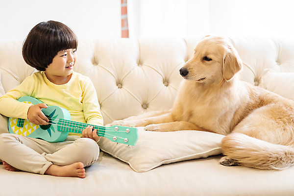 포토 JPG 전신 한마리 응시 남자 반려견 어린이 연주 놀이 함께함 실내 한명 미소 앉기 앞모습 반려동물 소파 한국인 골든리트리버 강아지 우쿨렐레 즐거움 반려 소년한명만 국내포토 동물 1 시선 감정 음악 뷰포인트 컨셉 의자 모션 현악기 표정 사람 동양인 내부 개 리트리버 남자한명만 소년만 파일형식