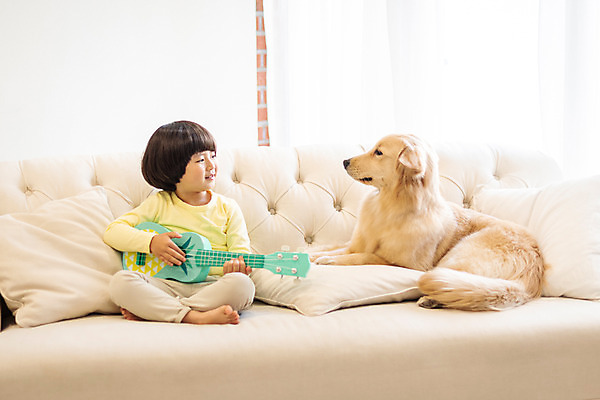 포토 JPG 전신 한마리 남자 반려견 어린이 연주 놀이 함께함 실내 한명 미소 앉기 앞모습 반려동물 소파 마주보기 한국인 골든리트리버 강아지 우쿨렐레 즐거움 반려 소년한명만 국내포토 동물 1 감정 음악 뷰포인트 컨셉 의자 모션 현악기 표정 사람 동양인 내부 개 리트리버 남자한명만 소년만 파일형식
