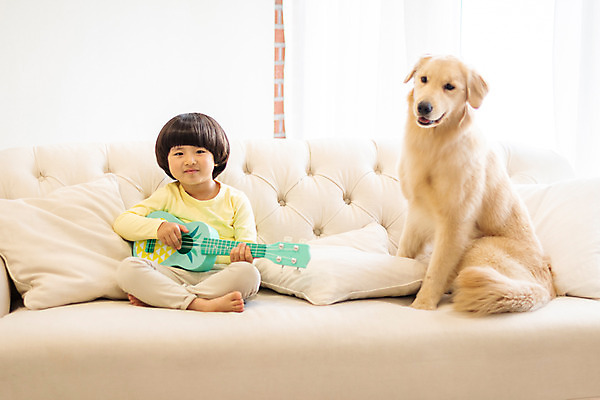 포토 JPG 전신 한마리 남자 반려견 어린이 연주 놀이 함께함 실내 한명 앉기 앞모습 반려동물 소파 한국인 골든리트리버 강아지 우쿨렐레 즐거움 반려 소년한명만 국내포토 동물 1 감정 음악 뷰포인트 컨셉 의자 모션 현악기 사람 동양인 내부 개 리트리버 남자한명만 소년만 파일형식