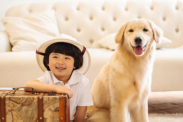 포토 JPG 한마리 남자 반려견 어린이 여행 함께함 실내 한명 미소 앉기 상반신 앞모습 반려동물 소파 여행가방 한국인 골든리트리버 강아지 즐거움 설레임 반려 소년한명만 국내포토 동물 1 감정 뷰포인트 컨셉 의자 가방 모션 표정 사람 동양인 내부 개 리트리버 남자한명만 소년만 파일형식