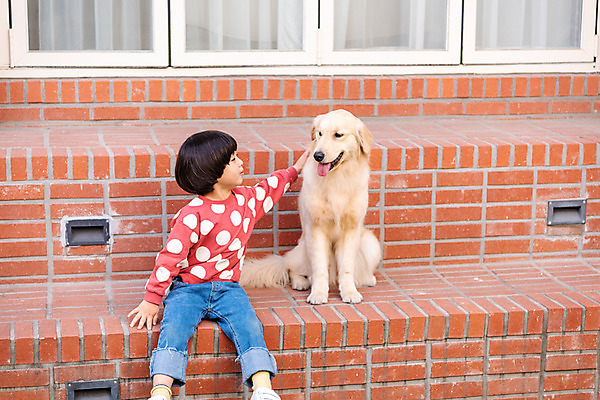 포토 JPG 주간 전신 한마리 남자 반려견 어린이 함께함 한명 앉기 야외 앞모습 반려동물 계단 한국인 골든리트리버 강아지 창가 즐거움 반려 소년한명만 쓰다듬기 국내포토 자연요소 동물 1 감정 뷰포인트 컨셉 창문 모션 사람 동양인 개 리트리버 남자한명만 소년만 파일형식