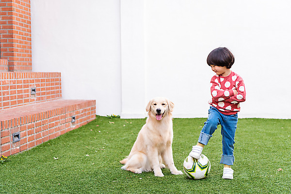 포토 JPG 주간 전신 한마리 남자 반려견 어린이 축구공 놀이 함께함 한명 서기 야외 앞모습 반려동물 팔짱 계단 축구 한국인 골든리트리버 강아지 즐거움 반려 소년한명만 국내포토 자연요소 동물 1 감정 뷰포인트 컨셉 공 축구용품 모션 사람 동양인 구기 개 리트리버 남자한명만 소년만 파일형식