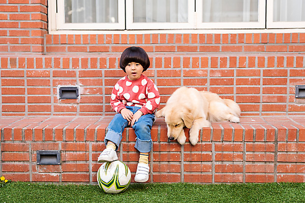 포토 JPG 주간 전신 한마리 남자 반려견 어린이 축구공 함께함 한명 앉기 야외 앞모습 반려동물 계단 한국인 골든리트리버 강아지 창가 하품 반려 힘듦 소년한명만 국내포토 자연요소 동물 1 뷰포인트 컨셉 공 축구용품 창문 모션 사람 동양인 개 리트리버 생리현상 남자한명만 소년만 파일형식