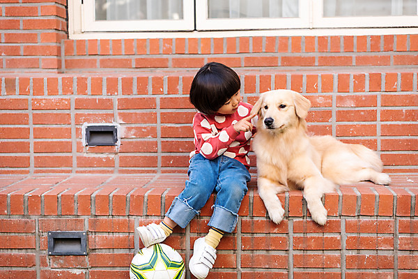 포토 JPG 주간 전신 한마리 남자 반려견 어린이 축구공 함께함 한명 앉기 야외 앞모습 반려동물 계단 한국인 골든리트리버 강아지 창가 즐거움 반려 소년한명만 쓰다듬기 국내포토 자연요소 동물 1 감정 뷰포인트 컨셉 공 축구용품 창문 모션 사람 동양인 개 리트리버 남자한명만 소년만 파일형식