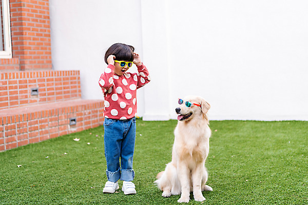 포토 JPG 주간 전신 한마리 남자 반려견 어린이 장난 놀이 함께함 한명 서기 야외 앞모습 반려동물 선글라스 계단 한국인 골든리트리버 강아지 즐거움 반려 소년한명만 국내포토 자연요소 동물 1 감정 안경 뷰포인트 컨셉 모션 사람 동양인 개 리트리버 남자한명만 소년만 파일형식