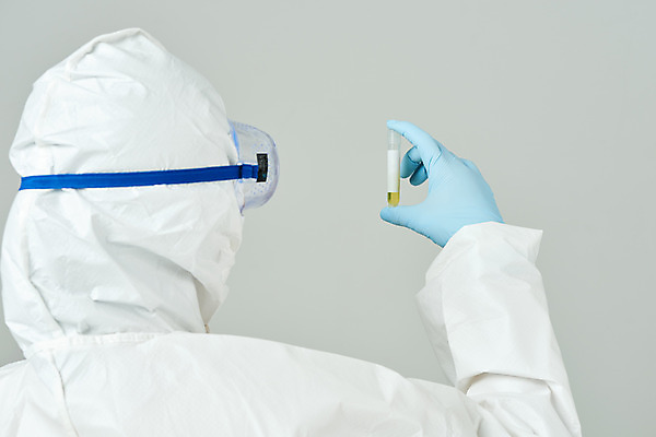 포토 JPG 스튜디오촬영 여자 40대 과학 의학 회색배경 실내 실험 한명 들기 상반신 뒷모습 한국인 바이러스 연구원 사회이슈 검사_조사 감염 전염병 중년여자한명만 코로나바이러스 방호복 바이알 델타변이바이러스 국내포토 직업 1 옷 뷰포인트 중년 백그라운드 컨셉 모션 사람 동양인 내부 회색 의료용품 질병 여자한명만 중년여자만 파일형식