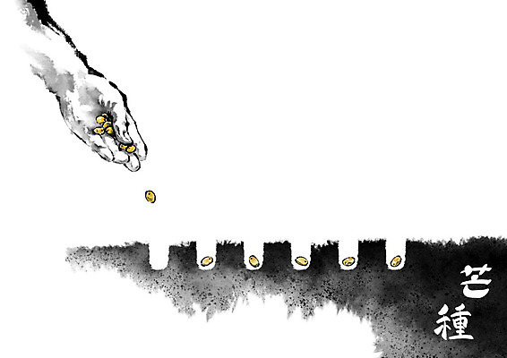 PSD 손 일러스트 캘리그라피 붓터치 한손 씨앗 사람 신체부위 절기 번짐 도랑 망종 심기 씨뿌리기 국내일러스트 식물 계절 밭 모션 파일형식 효과