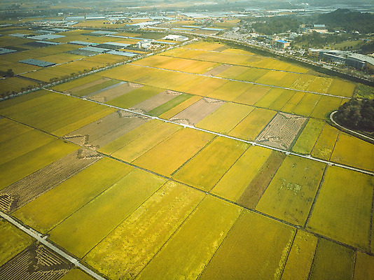 포토 JPG 주간 여행 한국 논 풍경 사람없음 야외 관광지 하이앵글 추수 벼 가을 항공촬영 논산 곡식저장고 국내여행 전경 국내포토 자연요소 계절 아시아 뷰포인트 농업 곡류 충청남도 저장소 파일형식 탑뷰