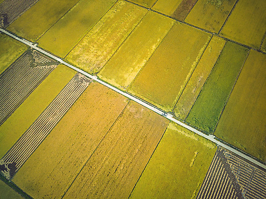 포토 JPG 주간 여행 한국 논 풍경 사람없음 야외 관광지 하이앵글 추수 벼 가을 항공촬영 논산 곡식저장고 국내여행 전경 국내포토 자연요소 계절 아시아 뷰포인트 농업 곡류 충청남도 저장소 파일형식 탑뷰