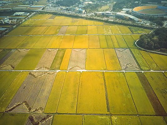 포토 JPG 주간 여행 한국 논 풍경 사람없음 야외 관광지 하이앵글 추수 벼 가을 항공촬영 논산 곡식저장고 국내여행 전경 국내포토 자연요소 계절 아시아 뷰포인트 농업 곡류 충청남도 저장소 파일형식 탑뷰