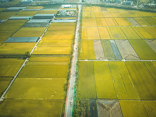포토 JPG 주간 여행 한국 논 풍경 사람없음 야외 관광지 하이앵글 추수 벼 가을 항공촬영 논산 곡식저장고 국내여행 전경 국내포토 자연요소 계절 아시아 뷰포인트 농업 곡류 충청남도 저장소 파일형식 탑뷰