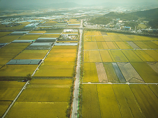 포토 JPG 주간 여행 한국 논 풍경 사람없음 야외 관광지 하이앵글 추수 벼 가을 항공촬영 논산 곡식저장고 국내여행 전경 국내포토 자연요소 계절 아시아 뷰포인트 농업 곡류 충청남도 저장소 파일형식 탑뷰