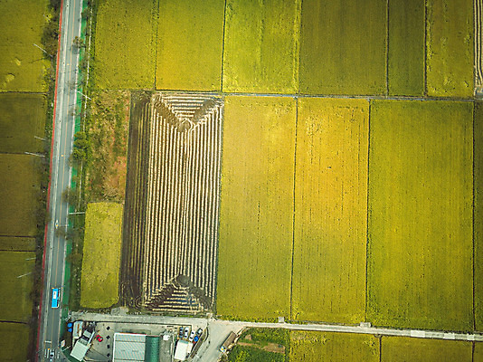 포토 JPG 주간 여행 한국 논 풍경 사람없음 야외 관광지 하이앵글 추수 벼 가을 항공촬영 논산 곡식저장고 국내여행 전경 국내포토 자연요소 계절 아시아 뷰포인트 농업 곡류 충청남도 저장소 파일형식 탑뷰