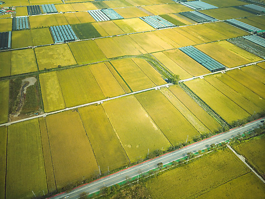 포토 JPG 주간 여행 한국 논 풍경 사람없음 야외 관광지 하이앵글 추수 벼 가을 항공촬영 논산 곡식저장고 국내여행 전경 국내포토 자연요소 계절 아시아 뷰포인트 농업 곡류 충청남도 저장소 파일형식 탑뷰