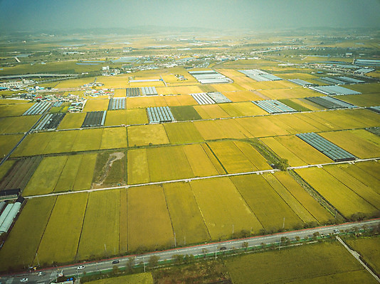 포토 JPG 주간 여행 한국 논 풍경 사람없음 야외 관광지 하이앵글 추수 벼 가을 항공촬영 논산 곡식저장고 국내여행 전경 국내포토 자연요소 계절 아시아 뷰포인트 농업 곡류 충청남도 저장소 파일형식 탑뷰