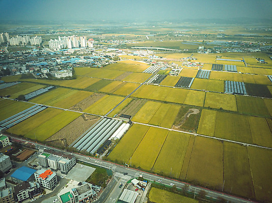 포토 JPG 주간 여행 한국 논 풍경 사람없음 야외 관광지 하이앵글 추수 벼 가을 항공촬영 논산 곡식저장고 국내여행 전경 국내포토 자연요소 계절 아시아 뷰포인트 농업 곡류 충청남도 저장소 파일형식 탑뷰