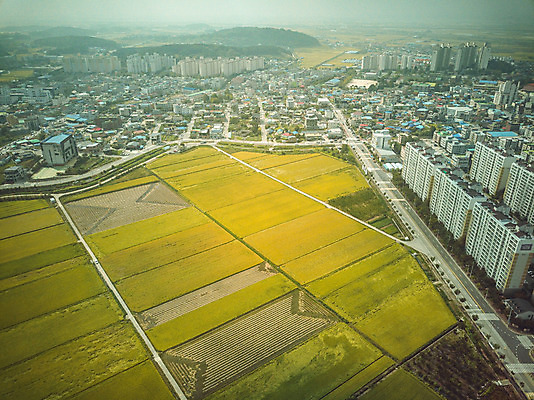 포토 JPG 주간 여행 한국 논 풍경 사람없음 야외 관광지 하이앵글 추수 벼 가을 항공촬영 논산 곡식저장고 국내여행 전경 국내포토 자연요소 계절 아시아 뷰포인트 농업 곡류 충청남도 저장소 파일형식 탑뷰