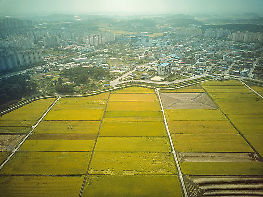 포토 JPG 주간 여행 한국 논 풍경 사람없음 야외 관광지 하이앵글 추수 벼 가을 항공촬영 논산 곡식저장고 국내여행 전경 국내포토 자연요소 계절 아시아 뷰포인트 농업 곡류 충청남도 저장소 파일형식 탑뷰