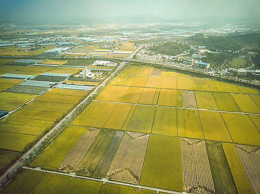 포토 JPG 주간 여행 한국 논 풍경 사람없음 야외 관광지 하이앵글 추수 벼 가을 항공촬영 논산 곡식저장고 국내여행 전경 국내포토 자연요소 계절 아시아 뷰포인트 농업 곡류 충청남도 저장소 파일형식 탑뷰
