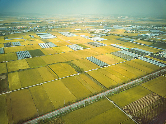 포토 JPG 주간 여행 한국 논 풍경 사람없음 야외 관광지 하이앵글 추수 벼 가을 항공촬영 논산 곡식저장고 국내여행 전경 국내포토 자연요소 계절 아시아 뷰포인트 농업 곡류 충청남도 저장소 파일형식 탑뷰