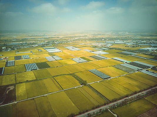 포토 JPG 주간 여행 한국 논 풍경 사람없음 야외 관광지 하이앵글 추수 벼 가을 항공촬영 논산 곡식저장고 국내여행 전경 국내포토 자연요소 계절 아시아 뷰포인트 농업 곡류 충청남도 저장소 파일형식 탑뷰