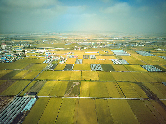 포토 JPG 주간 여행 한국 논 풍경 사람없음 야외 관광지 하이앵글 추수 벼 가을 항공촬영 논산 곡식저장고 국내여행 전경 국내포토 자연요소 계절 아시아 뷰포인트 농업 곡류 충청남도 저장소 파일형식 탑뷰