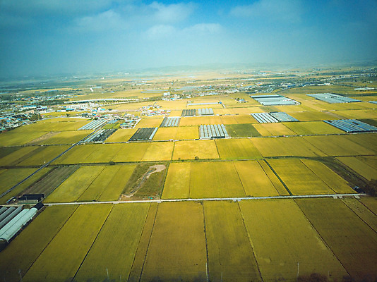 포토 JPG 주간 여행 한국 논 풍경 사람없음 야외 관광지 하이앵글 추수 벼 가을 항공촬영 논산 곡식저장고 국내여행 전경 국내포토 자연요소 계절 아시아 뷰포인트 농업 곡류 충청남도 저장소 파일형식 탑뷰
