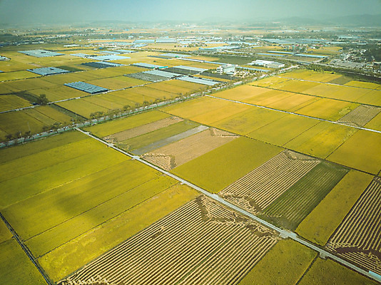 포토 JPG 주간 여행 한국 논 풍경 사람없음 야외 관광지 하이앵글 추수 벼 가을 항공촬영 논산 곡식저장고 국내여행 전경 국내포토 자연요소 계절 아시아 뷰포인트 농업 곡류 충청남도 저장소 파일형식 탑뷰
