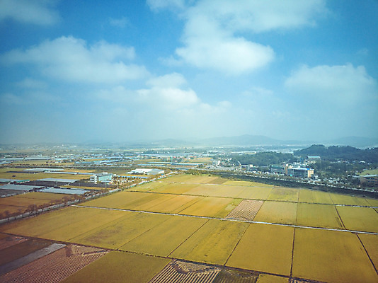 포토 JPG 주간 구름 여행 하늘 한국 논 풍경 사람없음 야외 관광지 하이앵글 추수 벼 가을 항공촬영 논산 곡식저장고 국내여행 전경 국내포토 자연요소 계절 아시아 뷰포인트 농업 곡류 충청남도 저장소 파일형식 탑뷰