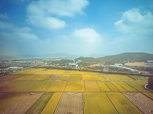 포토 JPG 주간 구름 여행 하늘 한국 논 풍경 사람없음 야외 관광지 하이앵글 추수 벼 가을 항공촬영 논산 곡식저장고 국내여행 전경 국내포토 자연요소 계절 아시아 뷰포인트 농업 곡류 충청남도 저장소 파일형식 탑뷰
