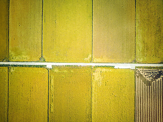 포토 JPG 주간 여행 한국 논 풍경 사람없음 야외 관광지 하이앵글 추수 벼 가을 항공촬영 논산 곡식저장고 국내여행 전경 국내포토 자연요소 계절 아시아 뷰포인트 농업 곡류 충청남도 저장소 파일형식 탑뷰