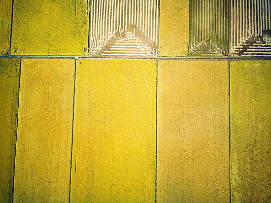 포토 JPG 주간 여행 한국 논 풍경 사람없음 야외 관광지 하이앵글 추수 벼 가을 항공촬영 논산 곡식저장고 국내여행 전경 국내포토 자연요소 계절 아시아 뷰포인트 농업 곡류 충청남도 저장소 파일형식 탑뷰