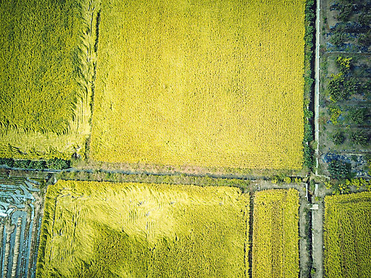 포토 JPG 주간 여행 한국 논 풍경 사람없음 야외 관광지 하이앵글 추수 벼 가을 항공촬영 논산 곡식저장고 국내여행 전경 국내포토 자연요소 계절 아시아 뷰포인트 농업 곡류 충청남도 저장소 파일형식 탑뷰