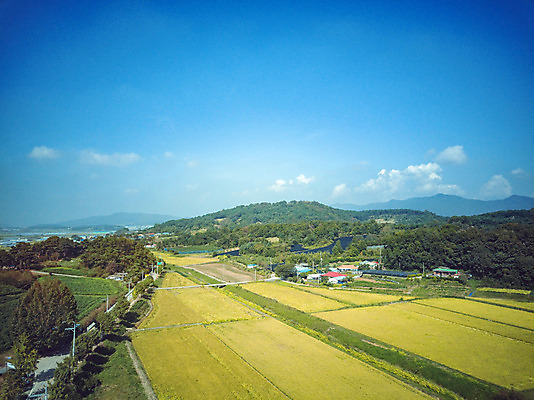 포토 JPG 주간 구름 여행 하늘 한국 논 풍경 사람없음 야외 관광지 하이앵글 추수 벼 가을 항공촬영 논산 곡식저장고 국내여행 전경 국내포토 자연요소 계절 아시아 뷰포인트 농업 곡류 충청남도 저장소 파일형식 탑뷰