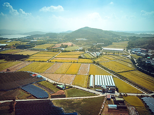 포토 JPG 주간 구름 여행 하늘 한국 논 풍경 사람없음 야외 관광지 하이앵글 추수 벼 가을 항공촬영 논산 곡식저장고 국내여행 전경 국내포토 자연요소 계절 아시아 뷰포인트 농업 곡류 충청남도 저장소 파일형식 탑뷰