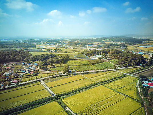 포토 JPG 주간 구름 여행 하늘 한국 논 풍경 사람없음 야외 관광지 하이앵글 추수 벼 가을 항공촬영 논산 곡식저장고 국내여행 전경 국내포토 자연요소 계절 아시아 뷰포인트 농업 곡류 충청남도 저장소 파일형식 탑뷰