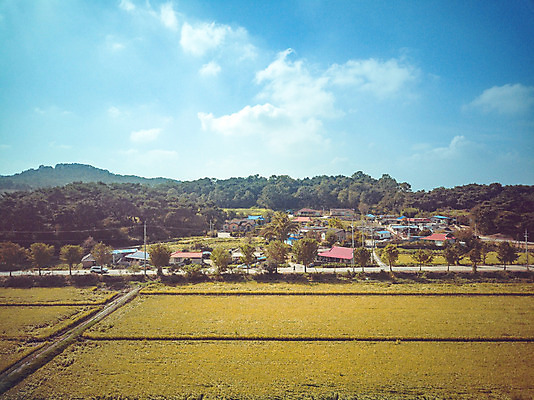 포토 JPG 주간 구름 여행 하늘 한국 논 풍경 사람없음 야외 관광지 하이앵글 추수 벼 가을 항공촬영 논산 곡식저장고 국내여행 전경 국내포토 자연요소 계절 아시아 뷰포인트 농업 곡류 충청남도 저장소 파일형식 탑뷰