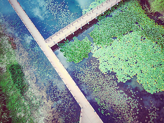 포토 JPG 주간 여행 한국 풍경 사람없음 야외 관광지 하이앵글 가을 데크 항공촬영 논산 국내여행 전경 탑정호 국내포토 자연요소 계절 아시아 호수 뷰포인트 충청남도 파일형식 탑뷰