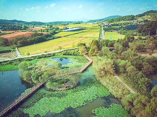 포토 JPG 주간 나무 여행 한국 풍경 사람없음 야외 관광지 하이앵글 가을 항공촬영 논산 국내여행 전경 탑정호 국내포토 자연요소 식물 계절 아시아 호수 뷰포인트 충청남도 파일형식 탑뷰