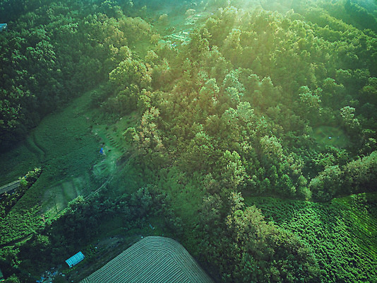포토 JPG 주간 나무 여행 한국 풍경 사람없음 야외 관광지 하이앵글 가을 숲 항공촬영 논산 국내여행 전경 국내포토 자연요소 식물 계절 아시아 뷰포인트 충청남도 파일형식 탑뷰